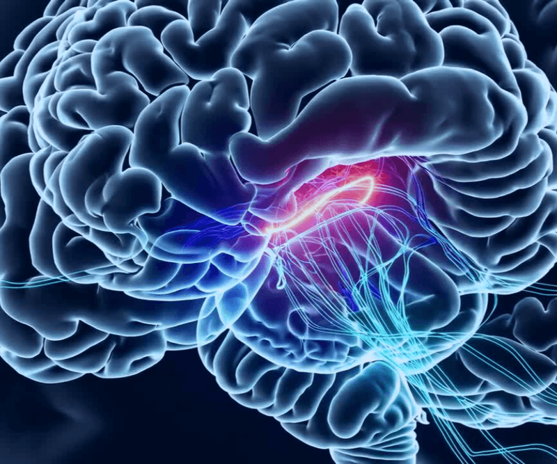 neuro energizer™
