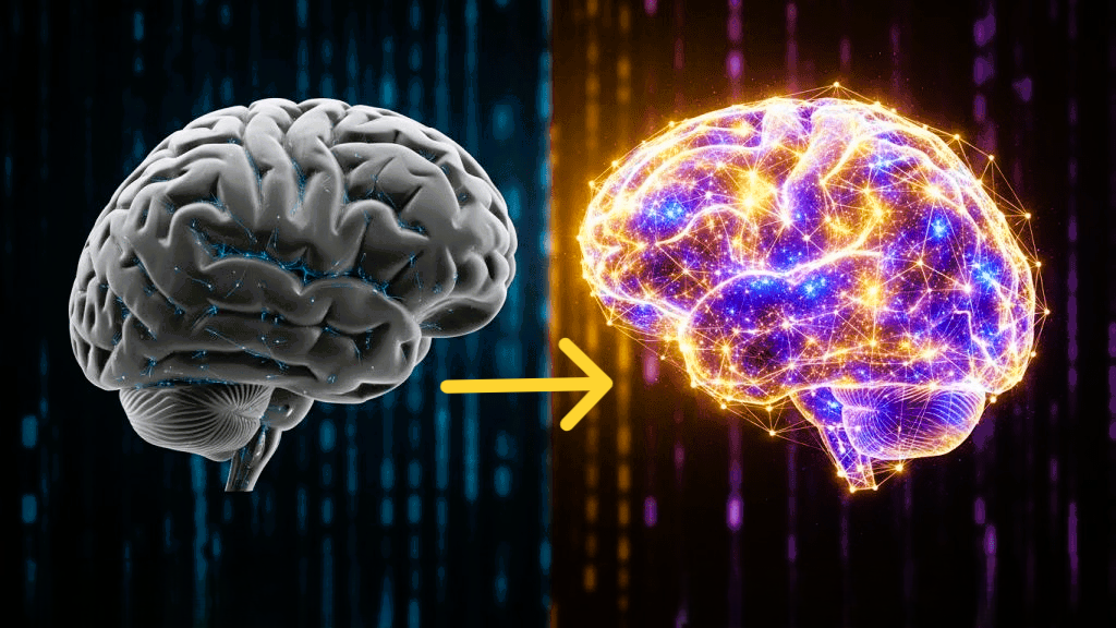 neuro energizer™